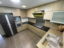 Central Green Condominium (D3), Condominium #534503521